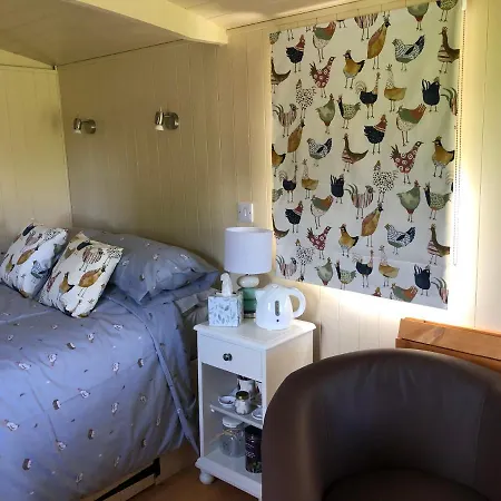 Shepherds Hut At The Retreat Oswestry Exterior photo